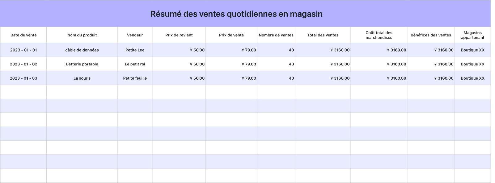 Résumé des ventes quotidiennes en magasin